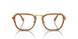 960 - Tortoise - Clear