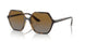 W656T5 - Havana - Polar Brown Gradient
