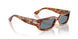 106/56 - Tortoise - Light Blue