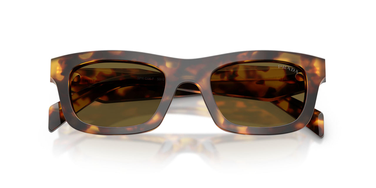 14L09Z - Tortoise - Dark Brown