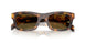 14L09Z - Tortoise - Dark Brown