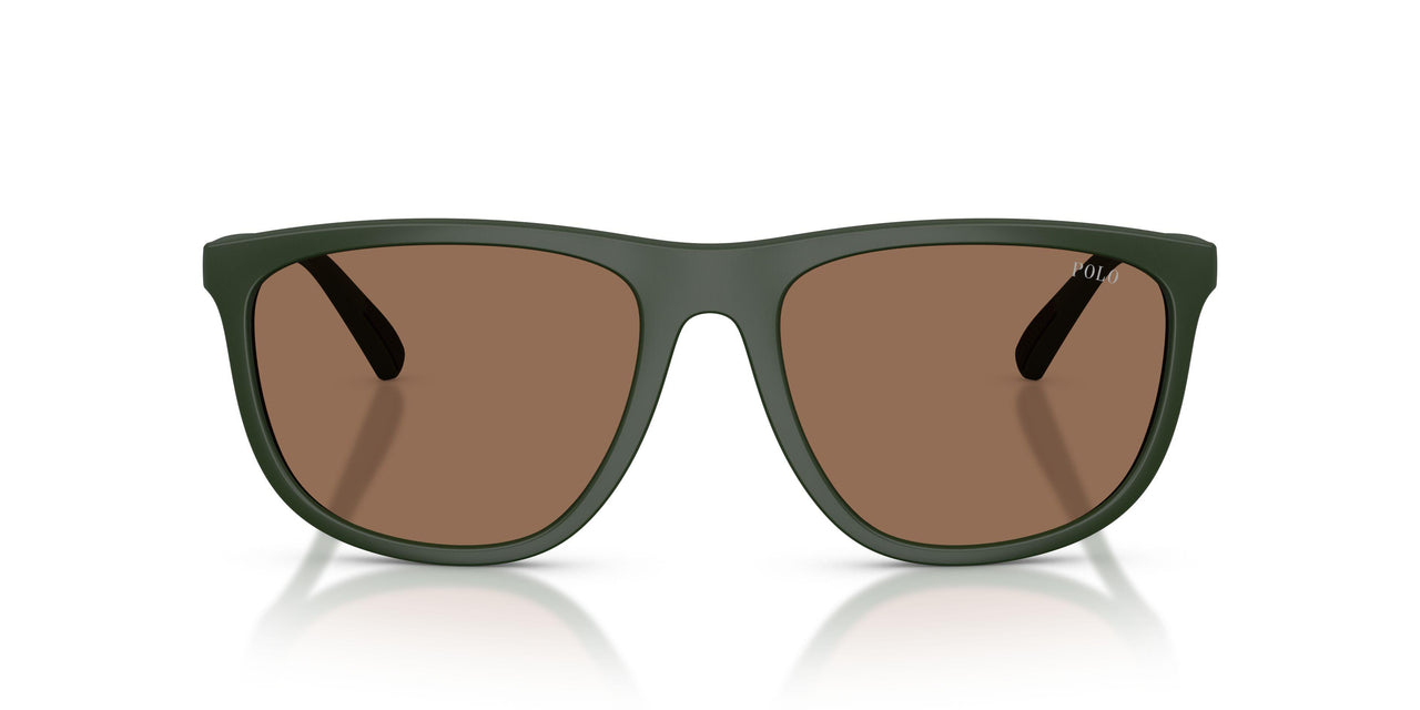 559673 - Green - Dark Brown
