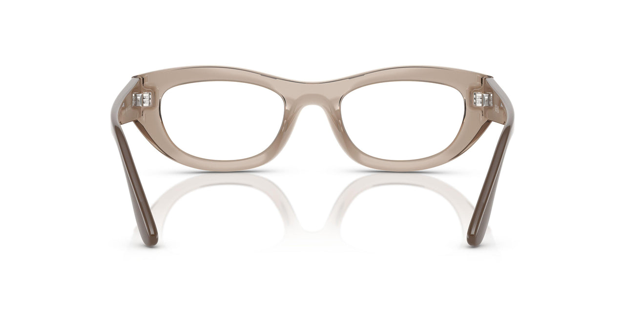 3181 - Brown