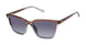 Ted Baker TWS298 Sunglasses