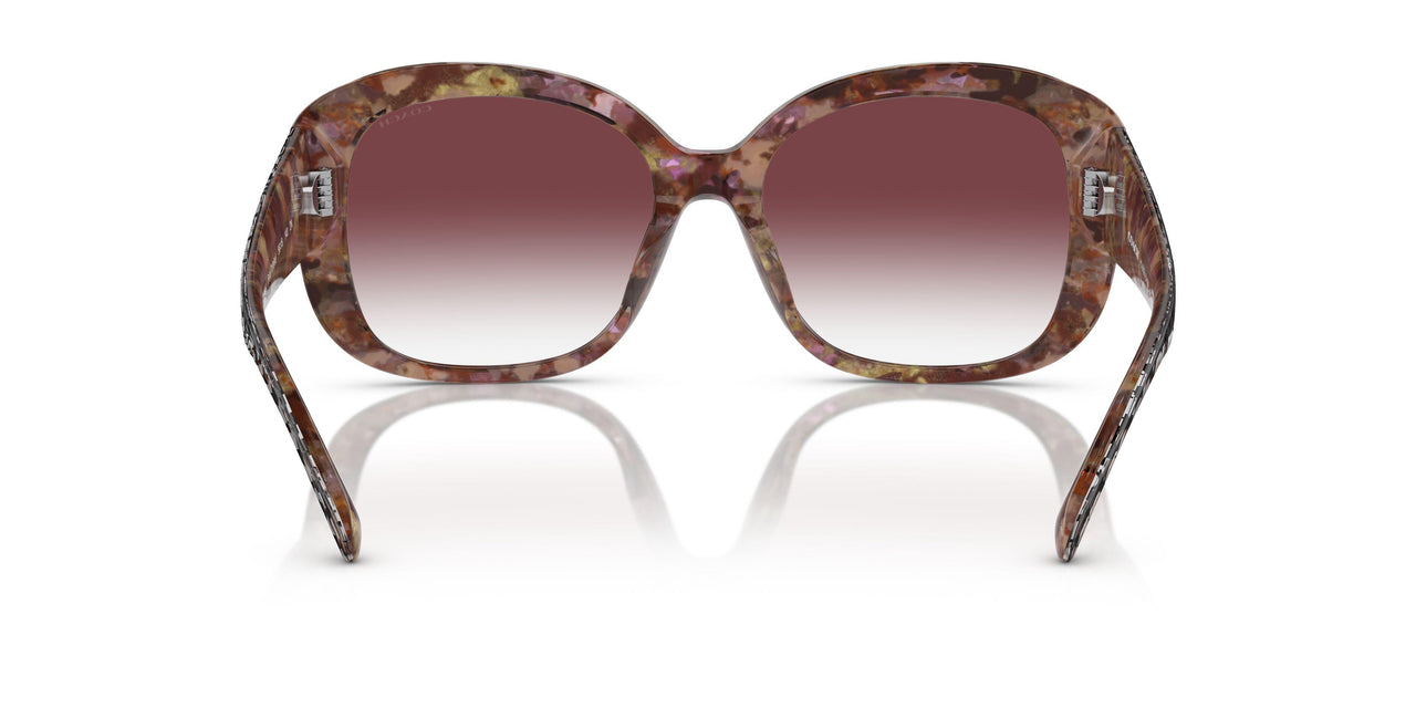 57398H - Tortoise - Purple Clear Gradient