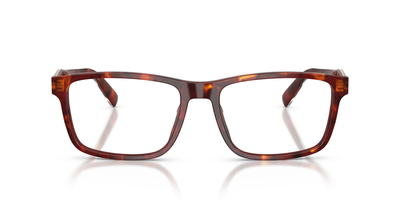 5938 - Tortoise