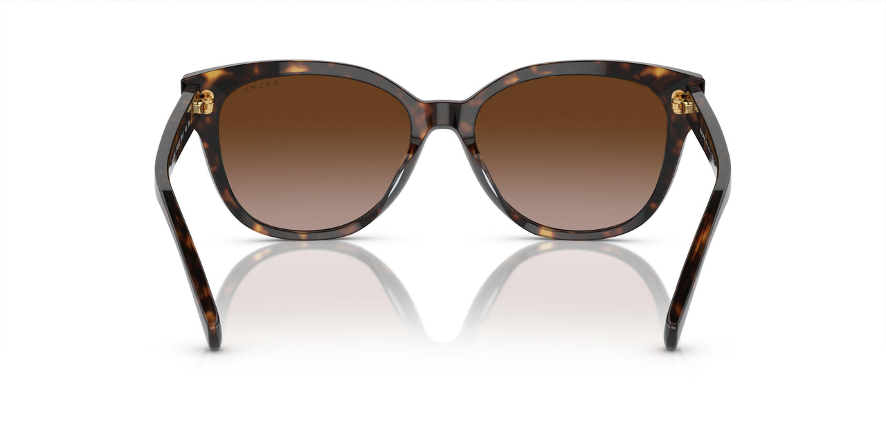 500313 - Black - Gradient Brown