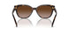500313 - Black - Gradient Brown