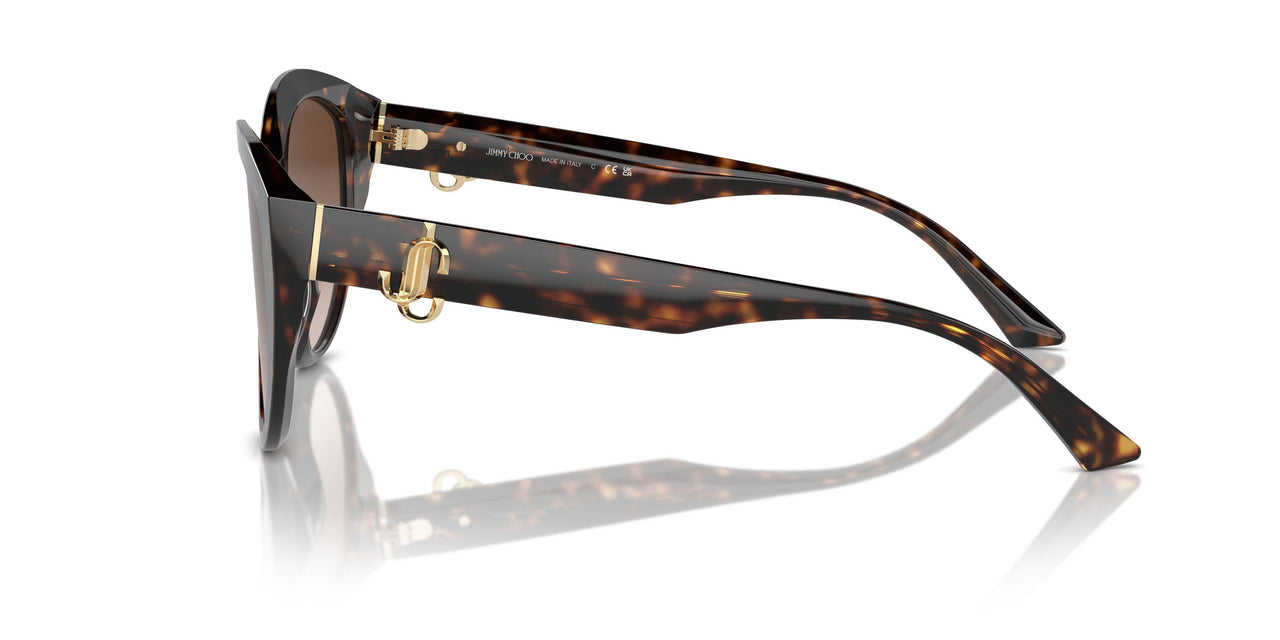 500213 - Tortoise - Gradient Brown