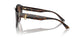 500213 - Tortoise - Gradient Brown