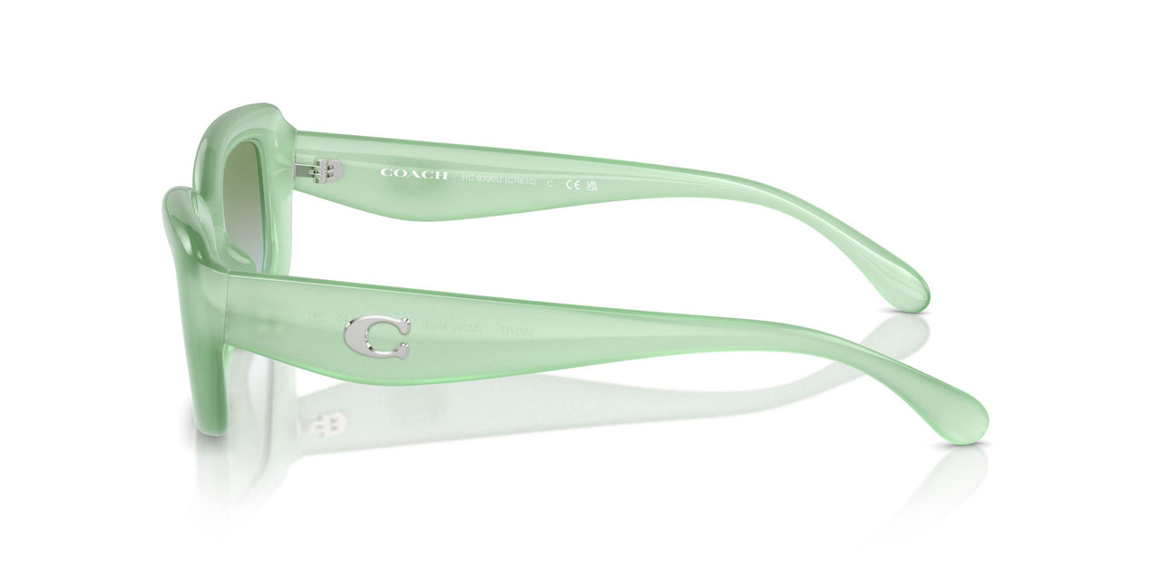 5807I7 - Green - Green Blue Gradient