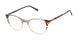 Ted Baker TFW022 Eyeglasses