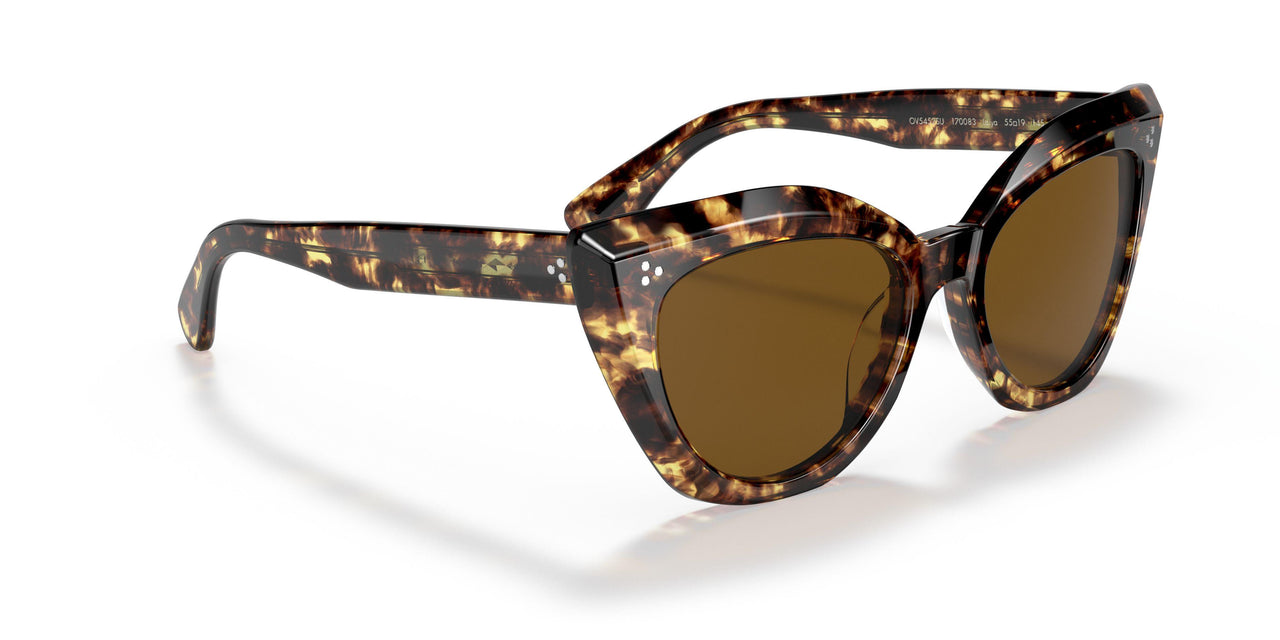 170083 - Tortoise - Brown Polarized