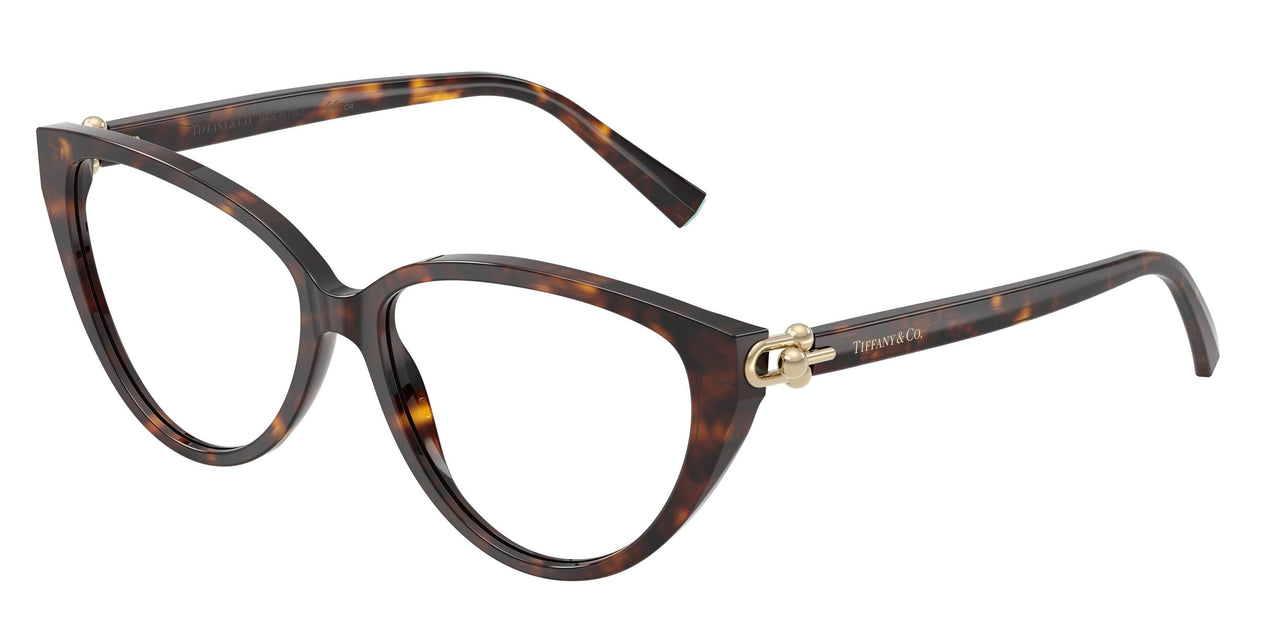 8015 - Tortoise