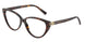 8015 - Tortoise