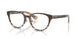 4202 - Brown