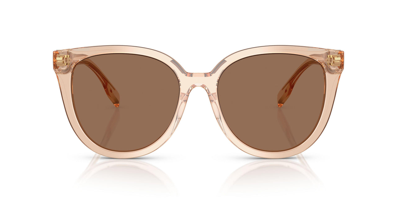 195473 - Brown - Dark Brown