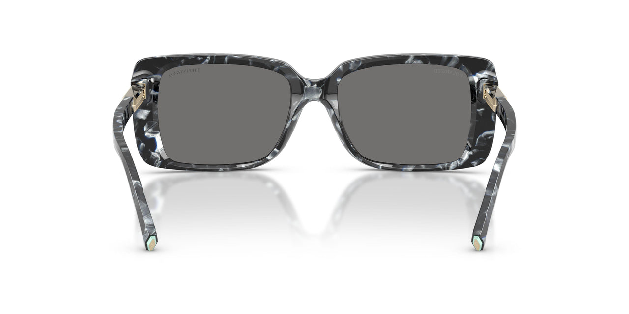 842881 - Tortoise - Dark Grey Polarized