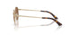 300673 - Gold - Dark Brown