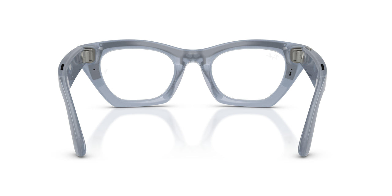 691410 - Brown - Clear/copper