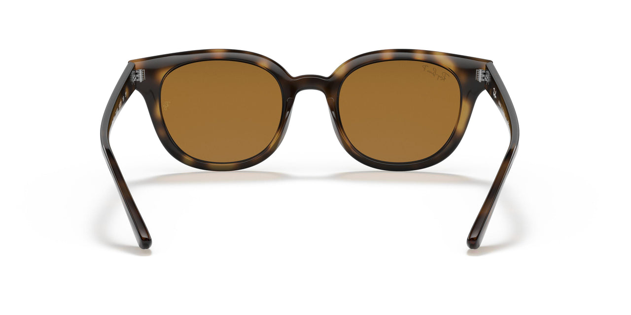 647551 - Yellow Light Havana - Clear Gradient Brown
