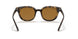 647551 - Yellow Light Havana - Clear Gradient Brown