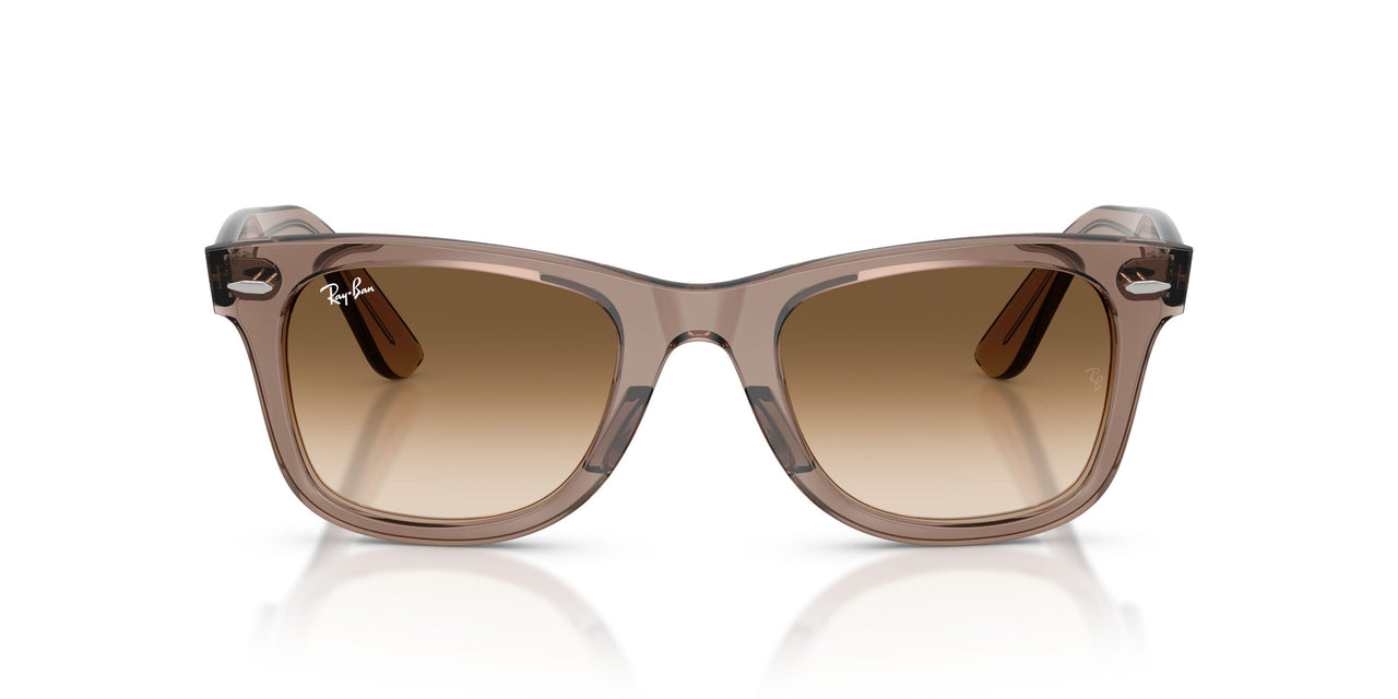 682751 - Brown - Clear Gradient Brown