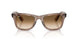 682751 - Brown - Clear Gradient Brown