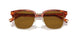 577483 - Yellow - Brown Solid Polarized