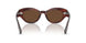 1818AN - Brown - Terra Polarized