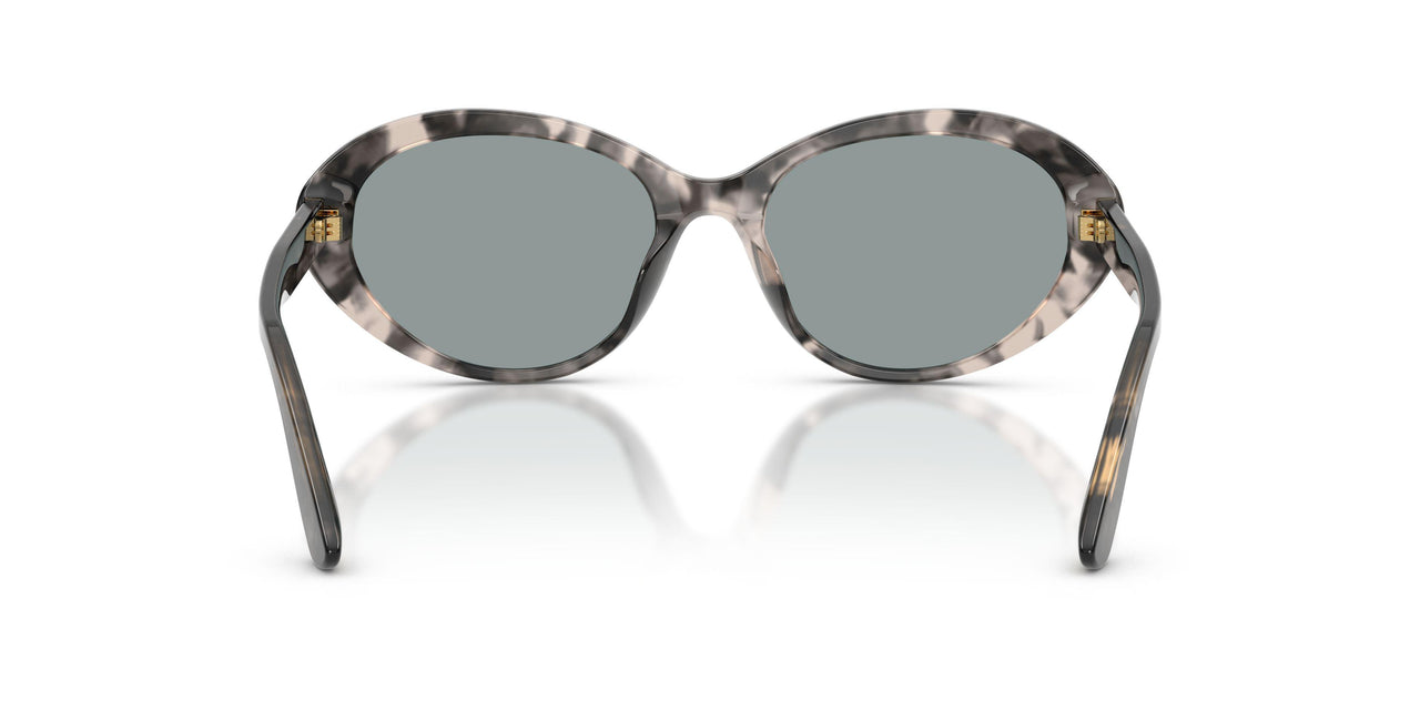 3172/1 - Tortoise - Light Grey