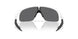 901039 - White - Prizm Black