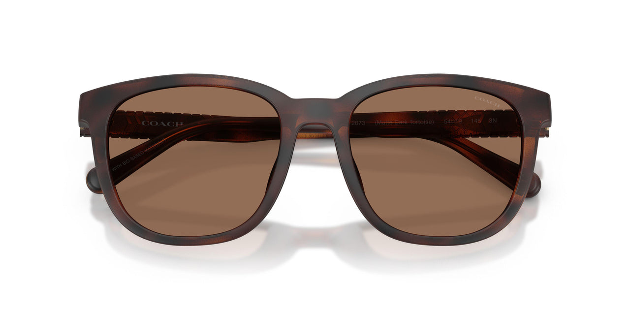 512073 - Tortoise - Brown Solid