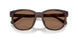 512073 - Tortoise - Brown Solid