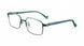 GRDG - Green Dark Green