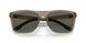 913109 - Brown - Gray