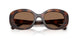 512073 - Tortoise - Brown Solid