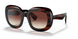 172513 - Red - Spice Brown Gradient