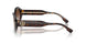172813 - Tortoise - Brown Gradient
