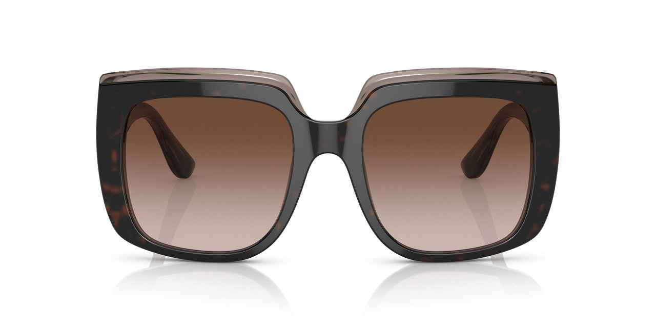 502/13 - Havana - Gradient Brown