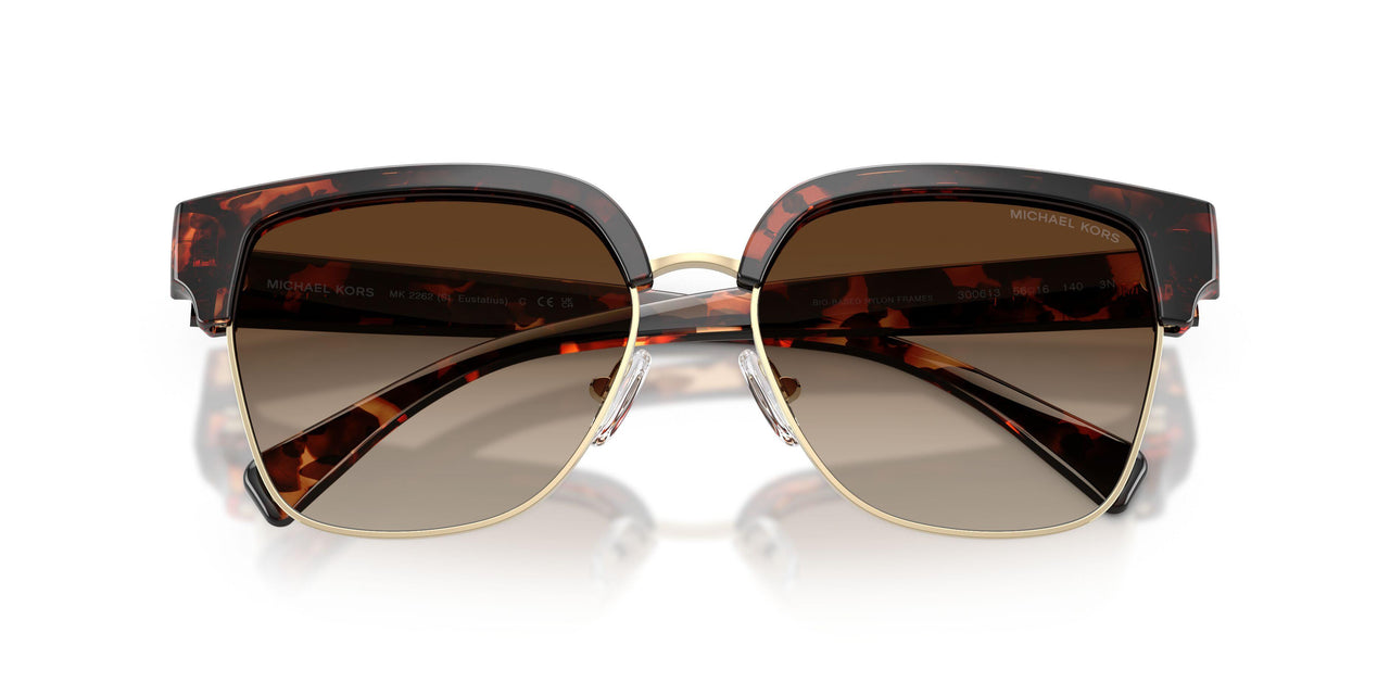 300613 - Tortoise - Smoke Gradient