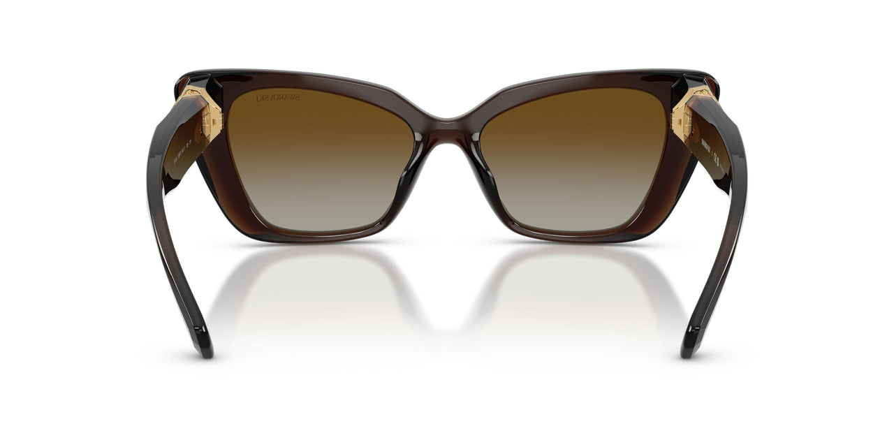 1084T5 - Brown - Polar Brown Gradient
