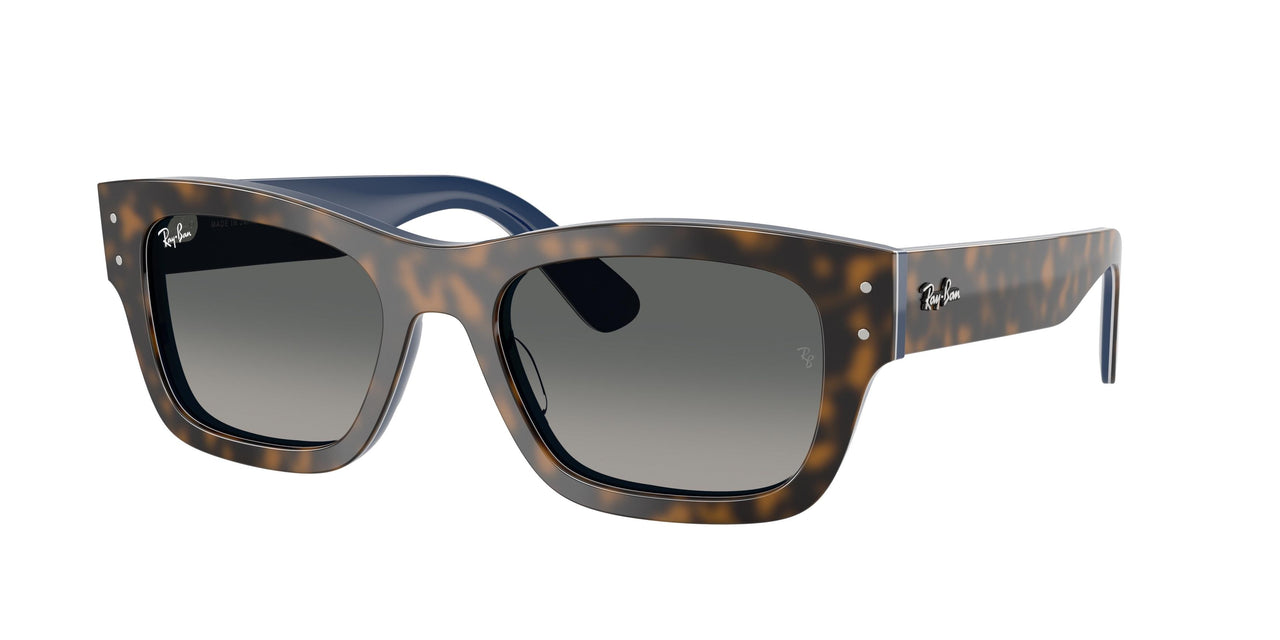 Ray-Ban Joseph 7683S Sunglasses