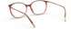 2540 - orange