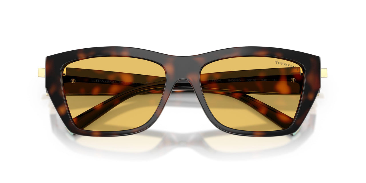 845685 - Tortoise - Yellow