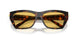 845685 - Tortoise - Yellow