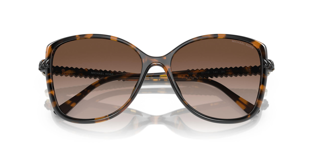 300613 - Tortoise - Brown Gradient