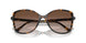 300613 - Tortoise - Brown Gradient