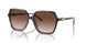 300613 - Tortoise - Brown Gradient