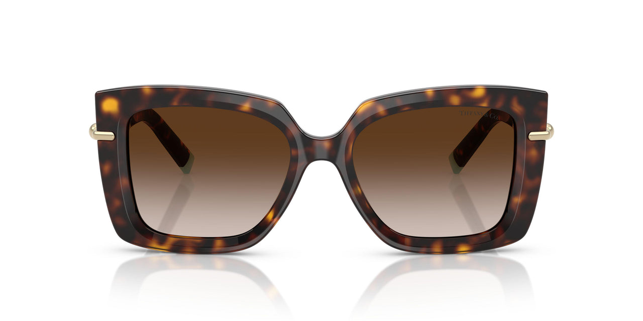 80153B - Tortoise - Brown Gradient